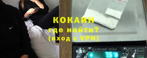 гидра Новодвинск