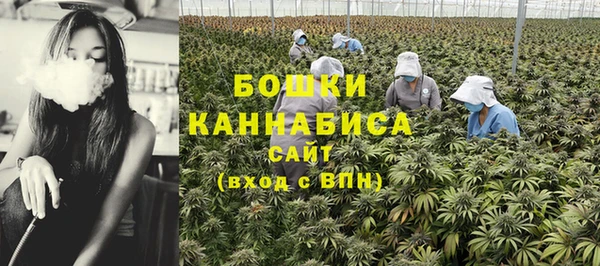 гашик Нязепетровск