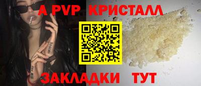 стафф Дубна