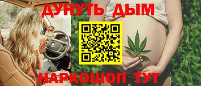 стафф Дубна
