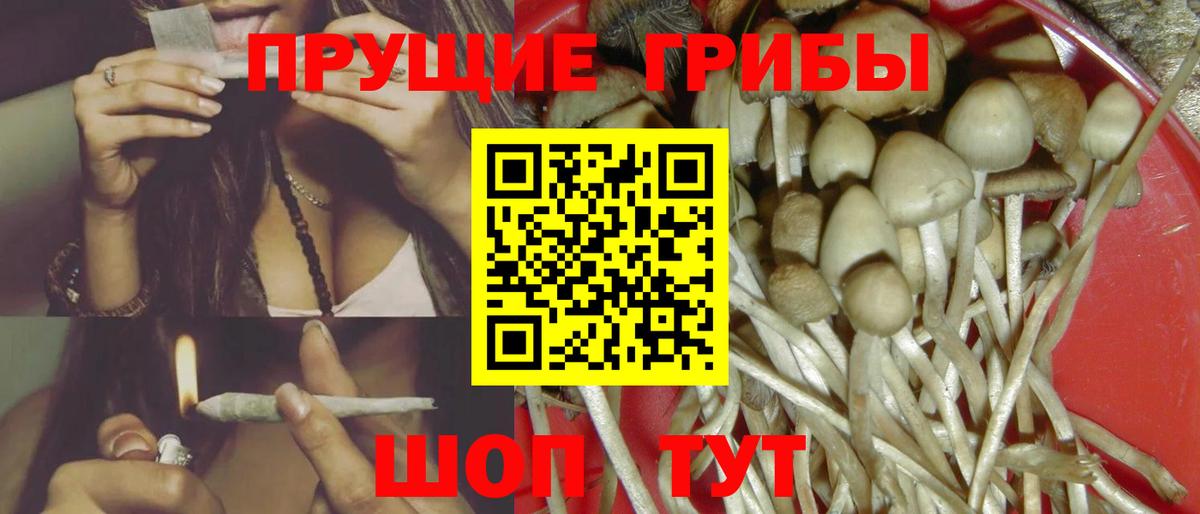 как найти наркотики  Галлюциногенные грибы ЛСД  Вход с VPN  Кизляр 
