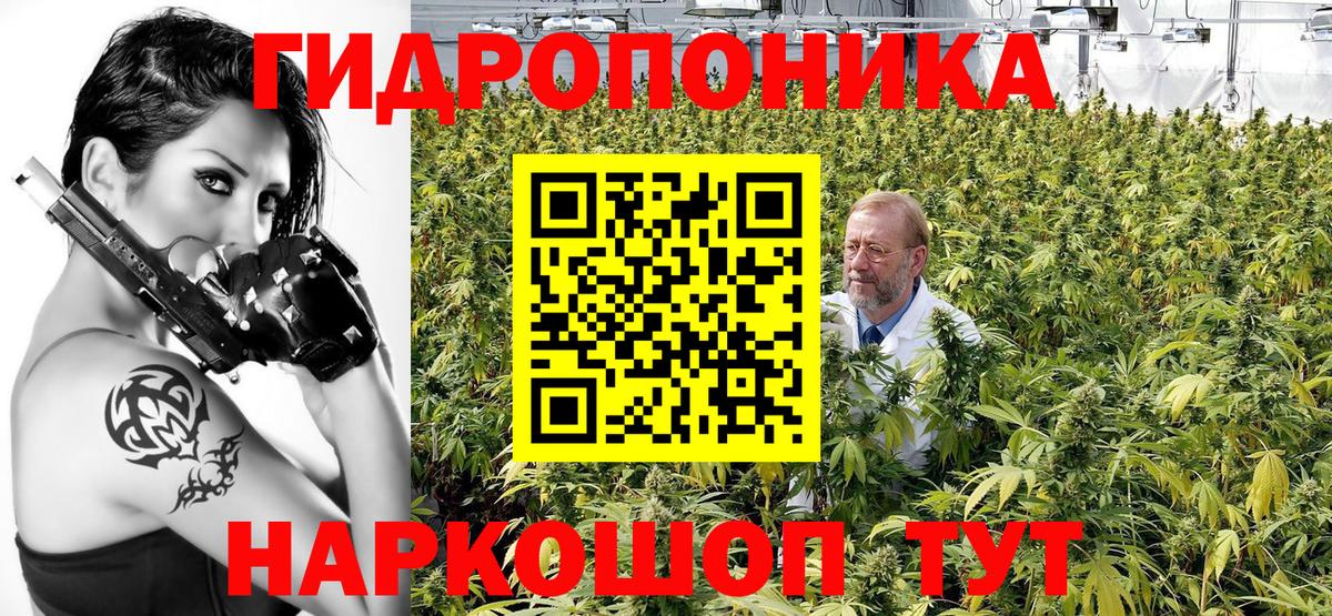 Кизляр  Бошки Шишки THC 21%  Каннабис LSD WEED  Марихуана MAZAR  Вход с VPN 